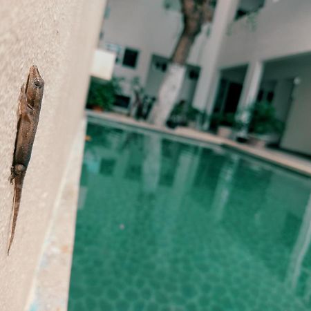 Cozy Studios Zazil-Ha Playa del Carmen Extérieur photo