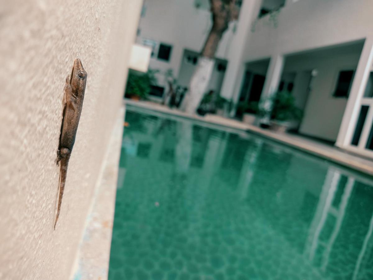 Cozy Studios Zazil-Ha Playa del Carmen Extérieur photo