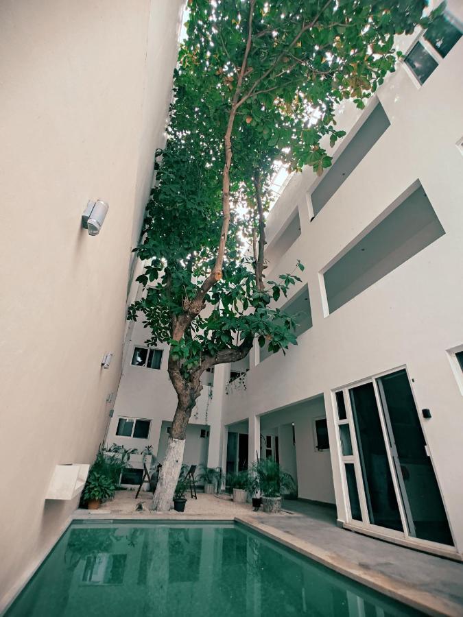 Cozy Studios Zazil-Ha Playa del Carmen Extérieur photo